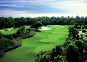 Real Estate Ritz Carlton Golf Club Sarasota