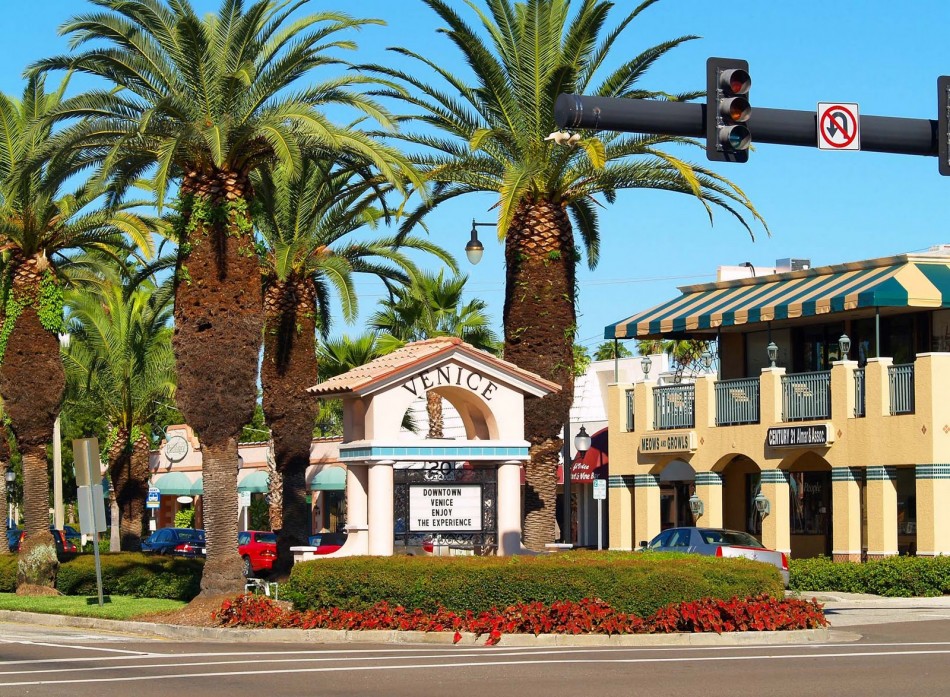 Venice FL Real Estate