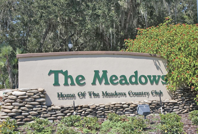 The Meadows Sarasota Real Estate