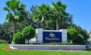 Plantation2